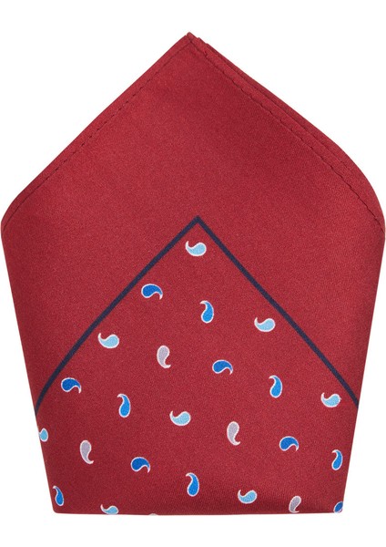 Man Paisley baskılı ipek kare cep