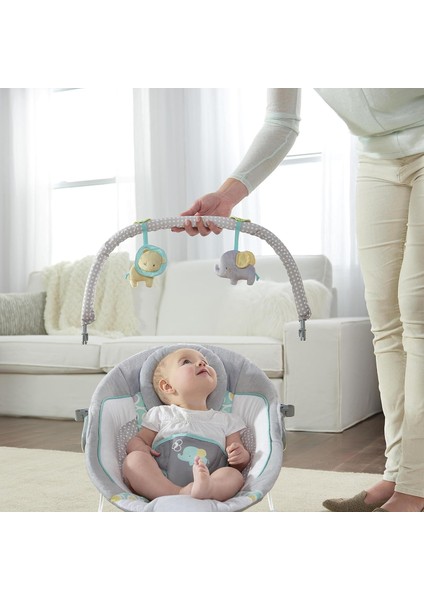 Ana Kucağı, Titreşimli, Oyuncak Çubuğu ve Sesli Bebek Koltuğu, 0-6 Ay, 20 Lbs modelleri