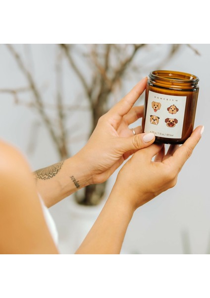 Lavanta ve Melisa Aromalı Sakinleştiren Pet Mumu 210 gr indirimleri