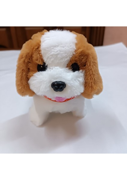 Sesli Yürüyen Peluş Köpek Taşıma Çantalı Aksesuarlı Tasmalı fırsatları