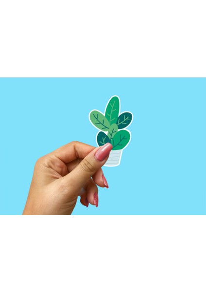 Çicekler-Flowers Sticker Seti