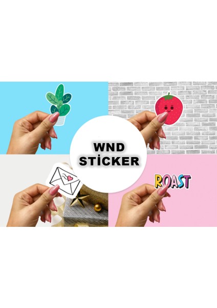 Kediler Sticker Seti modelleri