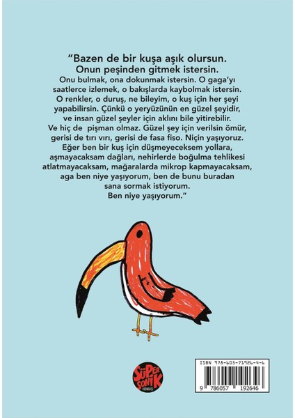 Komik Kuşlar fiyatları
