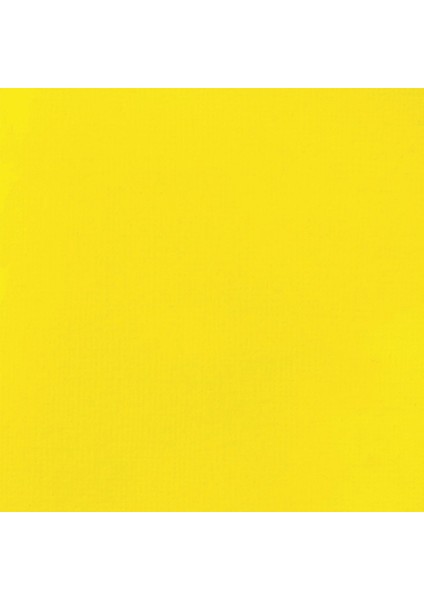 Basics Fluid Akrilik Boya 118ML Primary Yellow 410 modelleri