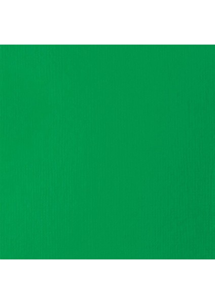 Basics Fluid Akrilik Boya 118ML Light Green Permanent 312 modelleri