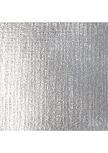 Basics Fluid Akrilik Boya 118ML Silver 052 S.2 modelleri