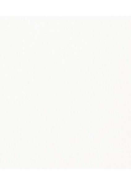 Basics Fluid Akrilik Boya 250ML Titanium White 432 modelleri