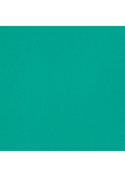 Basics Fluid Akrilik Boya 250ML Bright Acqua Green 660 modelleri