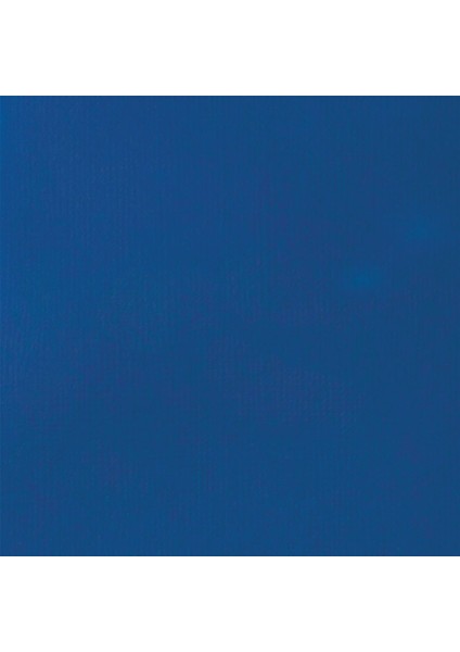 Basics Fluid Akrilik Boya 250ML Phthalocyanine Blue 316 modelleri