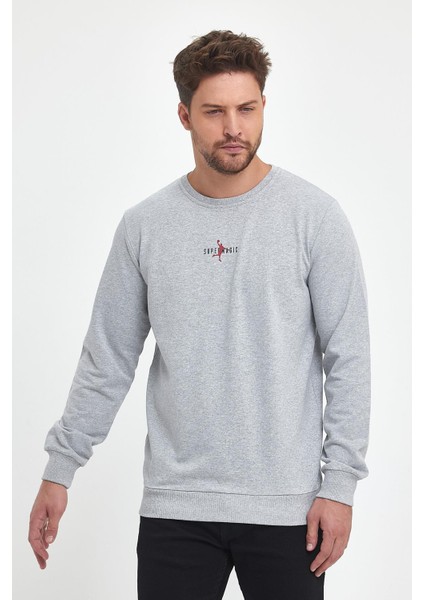 Erkek Gri Bisiklet Yaka Nakış Detaylı Regular Fit Sweatshirt