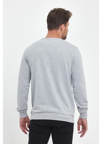 Erkek Gri Bisiklet Yaka Nakış Detaylı Regular Fit Sweatshirt