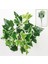 Yapay Büyük Lüx Islak Hedera Helix Bitkisi 3