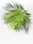 Yapay Çiçek Palmiye Areka Yaprağı 9 Dallı Demet 1