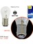 Süper Light 12V 1016 Ampul 21/5W BAY15D SL3117 (10 lu) 2