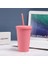 Sakura Pembe 450ML 450ML Mat Hissedilen Kahve Fincanı Gıda Sınıfı Pp Plastik Macaron Öğrenci Fincanı Şeker Renkli Su Bardağı 450ML Buzlu Plastik Pipetli Bardak (Yurt Dışından) 1