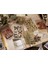 Scrapbook, Scrapbooking 60 Parça Uzay ve Gezegen Temalı Bullet Journal Set 3