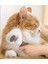Otomatik Temizlenen Tuşlu Evcil Hayvan Fırçası Kedi Köpek Tüy Toplayıcı Tarak 4