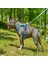 Köpek Harness Koşum Takımı Hafif Küçük ve Büyük Köpekler Uzanma Önleyici Göğüs Tasması 2.0 4