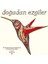 Doğadan Ezgiler & Her Yaş İçin Boyayarak Rahatlama ve Sanat Yaratma Kitabı 1