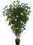 Limon Ağacı Tek Gövde 160CM, Yapay Ağaç, Saksılı 1