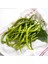Tatlı Kıl Biber Tohumu Capsicum Annuum 1