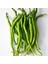 Tatlı Kıl Biber Tohumu Capsicum Annuum 5