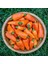 Turuncu Biber Tohumu Tangerine Dream Capsicum Annuum 1