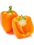 Portakal Rengi Biber Tohumu Orange California Wonder Bell Pepper 1
