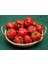 Peynir Biberi Tohumu Tatlı Tipi Geleneksel Red Cheese Pepper Seeds 3