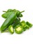 Jalapeno Orta Acı Biber Tohumu 1