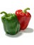 Kırmızı Yeşil Biber Tohumu Yolo Wonder Bell Pepper 1