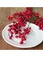 Yılbaşı Kokina Çiçeği 70 cm (3 Adet) 3