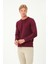Erkek Uzun Kollu Bisiklet-Sıfır Regular Fit Selanik Bordo Sweatshirt 2
