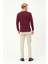 Erkek Uzun Kollu Bisiklet-Sıfır Regular Fit Selanik Bordo Sweatshirt 4