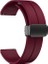Haylou Watch 2 Pro Kordon Silikon Mıknatıslı Ayarlanabilir HS19 Mürdüm 1