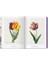 The Book Of Flowers 2