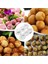 Küçük 5 cm Köfte Kalıp Içli Köfte Makinesi Mutfak Aksesuarları Et Araçları Diy Kalıpları Derin Kızartılmış Mutfak Malzemeleri Yapmak Için Kullanılır (Yurt Dışından) 3