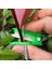 Yeşil Çok Fonksiyonlu Başparmak Bıçak Bahçe Budayıcı Meyve Toplama Cihazı Güvenli Meyve Bıçağı Aracı Kesme Bıçağı Yüzükler Parmak Koruyucu Yakalayıcı (Yurt Dışından) 1