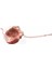 Rosegold Metal Çay Süzgeci Çaydanlık Şekli Gevşek Çay Demlik Paslanmaz Çelik Yaprak Çay Makinesi Süzgeç Zincir Damlama Tepsisi Bitkisel Baharat Filtresi (Yurt Dışından) 1