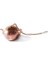 Rosegold Metal Çay Süzgeci Çaydanlık Şekli Gevşek Çay Demlik Paslanmaz Çelik Yaprak Çay Makinesi Süzgeç Zincir Damlama Tepsisi Bitkisel Baharat Filtresi (Yurt Dışından) 4