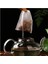 7x9 cm 100 Adet 50/100 Adet Tek Kullanımlık Çay Filtre Torbası Dokunmamış Kumaş Çay Poşetleri Baharat Kahve Çay Demlik Dize ile Mühür Çay Poşeti Boş Kese (Yurt Dışından) 3