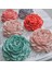3 Boyutlu 8cm Gül Şakayık Çiçek Silikon Kalıp K-1218 5