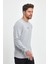 Erkek Gri Bisiklet Yaka Nakış Detaylı Regular Fit Sweatshirt 3