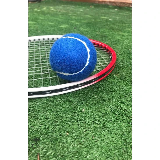 Werkon 1 Adet Antrenman Tenis Topu Mavi