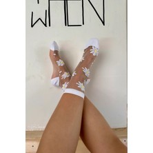 Laminta Papatyalı Beyaz Kadın Tül Çorap