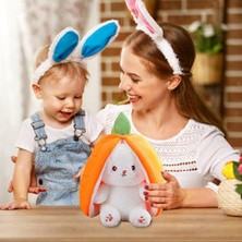 Dada Toys Dünyası 35 cm Havuç Tavşan