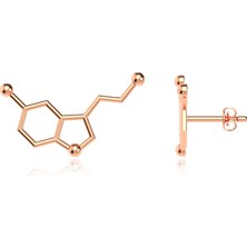 İndigo Takı Serotonin Mutluluk Hormonu Rose Gümüş Küpe