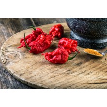 Hot Pepper Collector Carolına Reaper Biberi - Gerçek Taze Biber / 2,5 Milyon Scoville No: 1