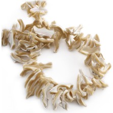 Uçar Doğal Taş Sedef Doğal Taş Parlak Kahverengi Amorf Kesim 30x5mm Dizi [AA]