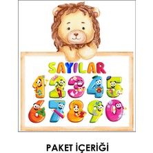 Of Duvar Eğitici Aslanlı Sayılar Çocuk Odası Duvar Sticker